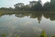 Irmã de prefeito de Corumbiara morre afogada em sítio da família