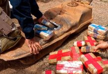 Homem de 45 anos é preso transportando quase 21 quilos de cocaína em RO