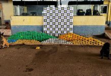 VÍDEO: PRF e PM apreendem mais de 300 quilos de cloridrato de cocaína em Pimenta Bueno