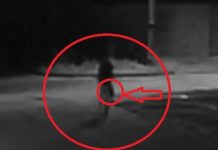 VÍDEO: incêndio em prédio de empresa vilhenense pode ter sido criminoso