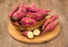 Embrapa inicia pesquisa sobre cura da batata-doce