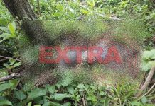 Corpo de homem é encontrado em estado avançado de decomposição na área rural de Cabixi