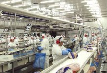 Senado aprova projeto que permite autocontrole no agronegócio