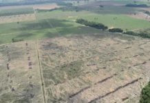 União Europeia fecha acordo para proibir importação de produtos oriundos de desmatamento