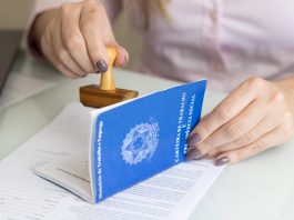 Mais de 600 novos empregos com carteira assinada foram abertos em RO em outubro