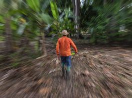 Missão para regularização de Cadastro Ambiental Rural acontece em Vilhena