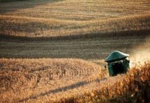 Valor da Produção Agropecuária fecha 2022 em R$ 1,189 trilhão