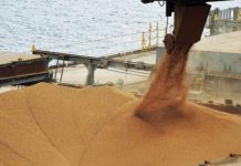 Receita com exportações do agronegócio cresce 32% em 2022