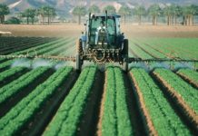 Consulta pública discute distribuição de registros de defensivos agrícolas