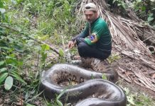 Vídeo publicado no Extra tem mais de 1,4 milhão de reproduções nas redes sociais