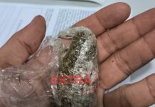 Homem com dois mandados de prisão é capturado pela Patrulha Reforço após protagonizar fuga alucinada em Vilhena