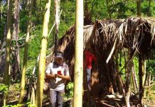 Fazendeiros estariam espreitando túmulo do “Índio do Buraco” no Sul de Rondônia