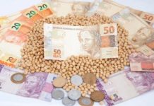 SOJA: dólar em queda segue pesando sobre preços no Brasil