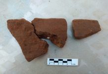 Fundadores do Grupo Energisa são homenageados com Sítios arqueológicos achados no Cone Sul em RO