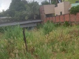 COLORADO: moradores reclamam de terreno sujo que pertence a servidora pública municipal