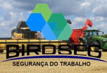 Destaque-se no mercado com o curso de Operador de Máquinas Pesadas da BIRD SEG