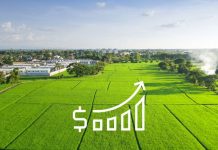 Estimativa de rendimento e previsão de safra com dados de sensoriamento remoto