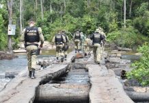 PF deflagra 2ª fase de operação contra criminosos que reconstruíram ponte em área de reserva em RO