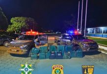 Operação conjunta resulta na apreensão de 384 quilos de cocaína em Pimenteiras