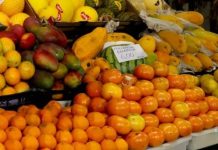 Preços de frutas da estação, como caqui e tangerina, caem quase 30%