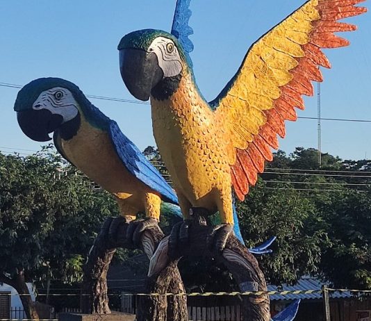 Colorado comemora 42 anos com entrega de benefícios e festa agropecuária; confira programação