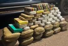 PRF apreende quase 60 quilos de entorpecentes em RO