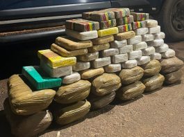 PRF apreende quase 60 quilos de entorpecentes em RO