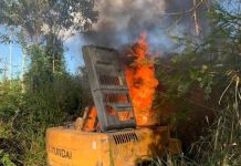 Operação conjunta da PF, PRF, IBAMA e FUNAI combatem ações ilegais em terra indígena em RO; fotos