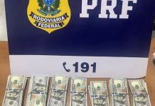 PRF apreende 130 mil dólares que estavam enrolados no corpo de jovem em cidade de RO