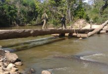 VÍDEO: PF destrói mais uma ponte construída por invasores em terra indígena em RO