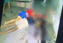 Casal é assassinado com tiros de espingarda na área rural de Vilhena