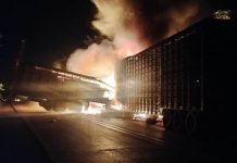 VÍDEO: caminhões boiadeiros batem de frente e pegam fogo na BR-364 em RO; motoristas morrem carbonizados