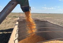 PIB do agro dispara e ‘puxa’ índice econômico de todo Brasil, diz IBGE