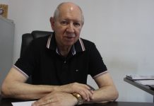 ARTIGO: perfil profissional