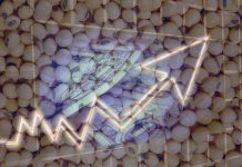 Soja: queda do dólar freou reação de preços nesta sexta-feira