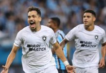 Botafogo atropela Grêmio por 2 a 0 no Campeonato Brasileiro