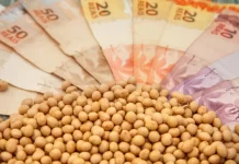 Preço da soja cai na semana, mas relatório do USDA pode reverter a situação