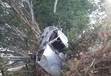 Após sair fora de rodovia, carro fica pendurado em pé de ingazeiro em Cerejeiras