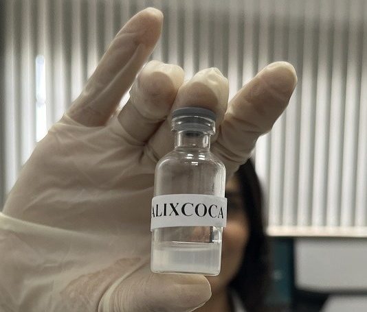 CALIXCOCA: vacina é desenvolvida em MG para o tratamento da dependência em cocaína e crack