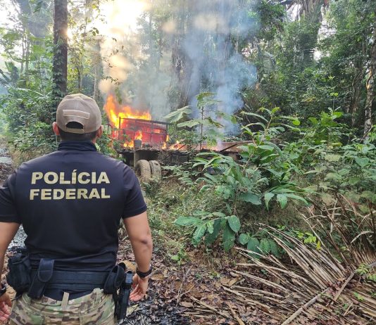 PF realiza operação contra desmatamento ilegal em terra indígena