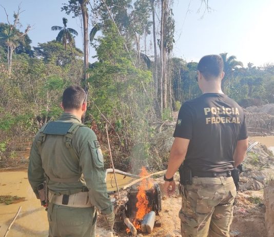 PF deflagra operação em combate a crimes ambientais em terras indígenas em RO