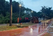 Temporal com vento de 100 km/h causa transtorno e deixa cidade de Rondônia sem energia elétrica; Energisa emite nota