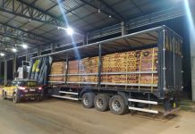 PRF apreende carga de madeira sendo transportada de forma irregular em RO