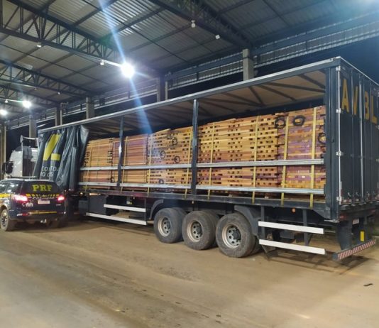 PRF apreende carga de madeira sendo transportada de forma irregular em RO