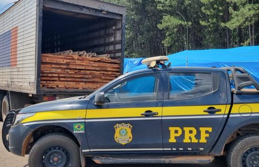 PRF realiza operação para combater crimes ambientais na região de Vilhena