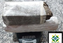 PM prende casal com mais de um quilo de maconha em Pimenta Bueno