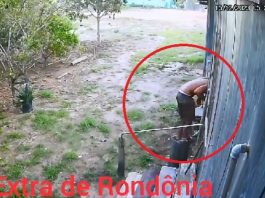 Câmera flagra ladrão arrombando casa no distrito do Guaporé