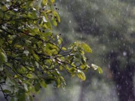 Nova frente fria embalada por ciclone traz mais chuva; veja previsão do tempo de hoje