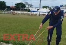 VÍDEO: PM é acionada para resgatar Jiboia em via pública em Colorado