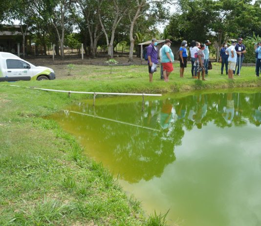 Governo de Rondônia garante a regularidade da oferta de peixes durante o período de defeso